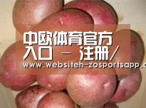 产品展示标题1
