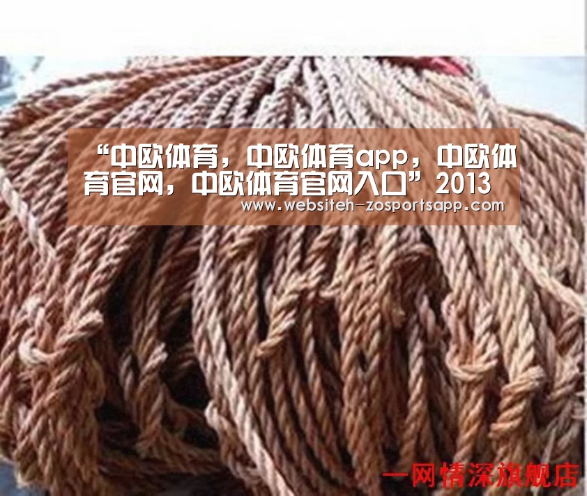“中欧体育,中欧体育app,中欧体育官网,中欧体育官网入口”2013杭州康桥中学招生简章(图2) 中欧体育,中欧体育app,中欧体育官网,中欧体育官网入口