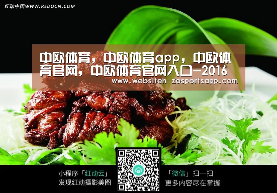 中欧体育,中欧体育app,中欧体育官网,中欧体育官网入口-2016深圳第二实验学校招生方式-深圳小升初(图2) 中欧体育,中欧体育app,中欧体育官网,中欧体育官网入口