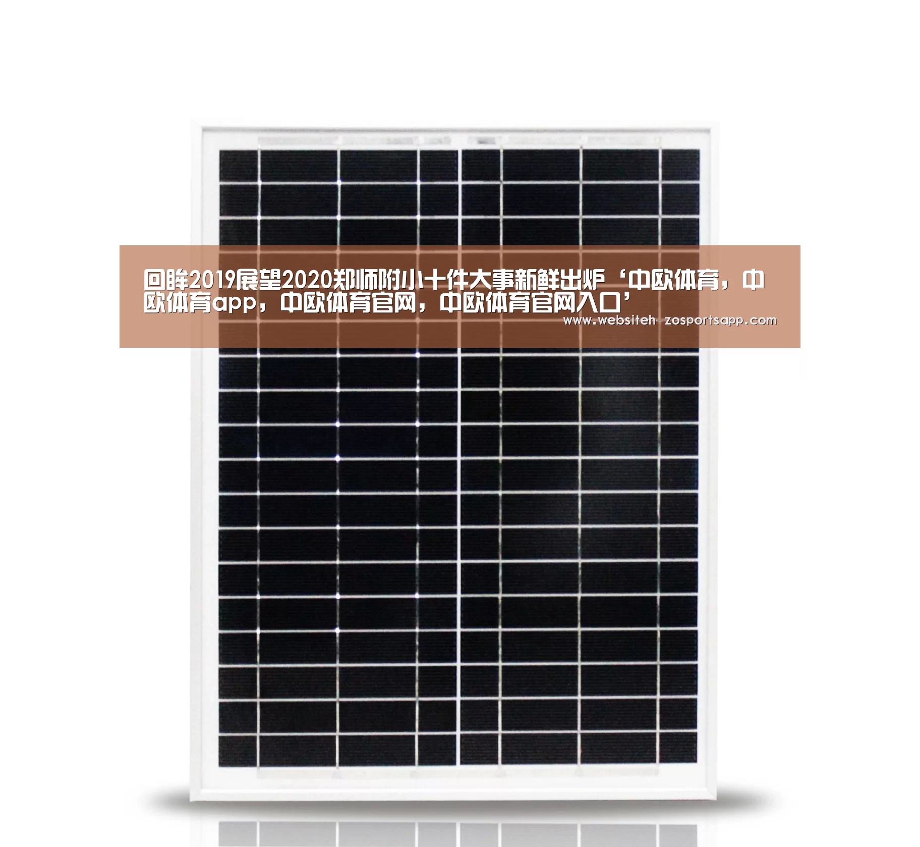 回眸2019展望2020郑师附小十件大事新鲜出炉‘中欧体育,中欧体育app,中欧体育官网,中欧体育官网入口’(图2) 中欧体育,中欧体育app,中欧体育官网,中欧体育官网入口
