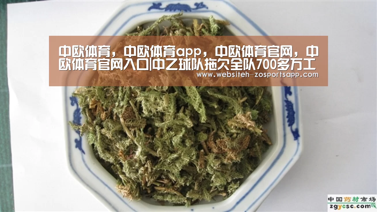中欧体育,中欧体育app,中欧体育官网,中欧体育官网入口|中乙球队拖欠全队700多万工资 球员:我不如农民工(图1) 中欧体育,中欧体育app,中欧体育官网,中欧体育官网入口